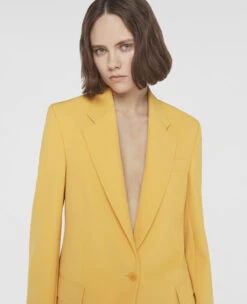 STELLA MCCARTNEY Wool Twill Single-Breasted Blazer 9 STELLA MCCARTNEY Wool Twill Single-Breasted Blazer -Stella Mccartney Store 1429aced4a8578f40c0d77e42bb77211dc5895cd 6500153AU7017003 P